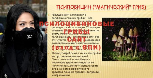 мяу мяу мука Снежногорск