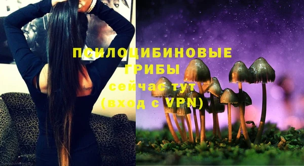 ПСИЛОЦИБИНОВЫЕ ГРИБЫ Богородицк