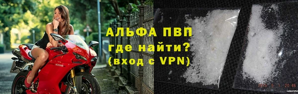 ПСИЛОЦИБИНОВЫЕ ГРИБЫ Богородицк