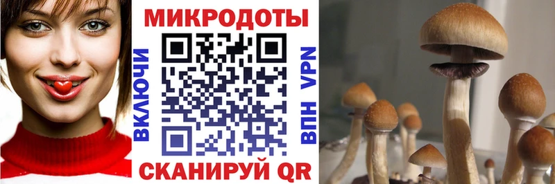 Псилоцибиновые грибы Cubensis  ссылка на мегу зеркало  Бугульма  купить  сайты 
